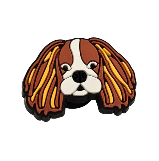 King Charles Cavalier